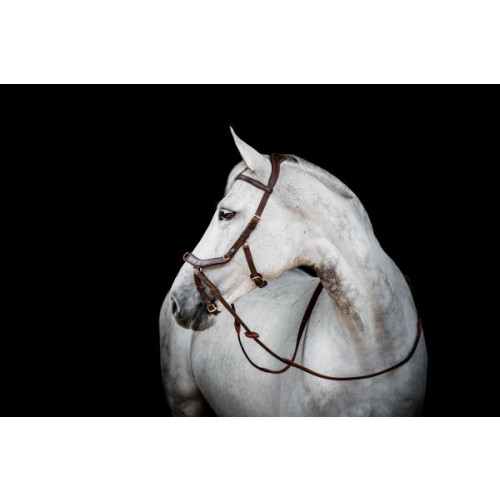 Alternative view of Horseware Micklem 2 Multi-Bridle