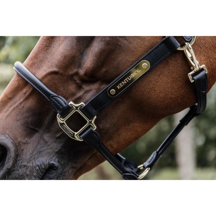 Kentucky Leather Anatomic Halter - Image 5