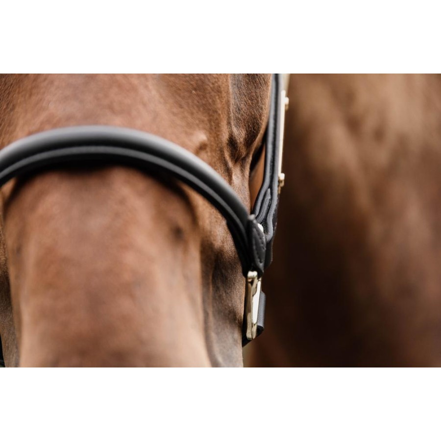 Kentucky Leather Anatomic Halter - Image 6