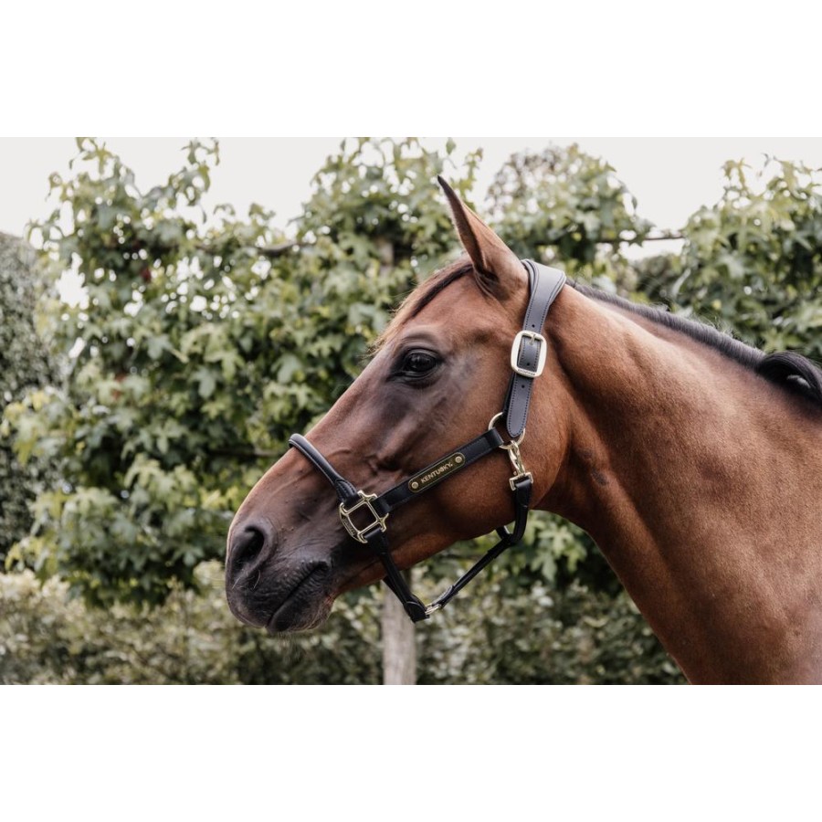 Kentucky Leather Anatomic Halter - Image 7