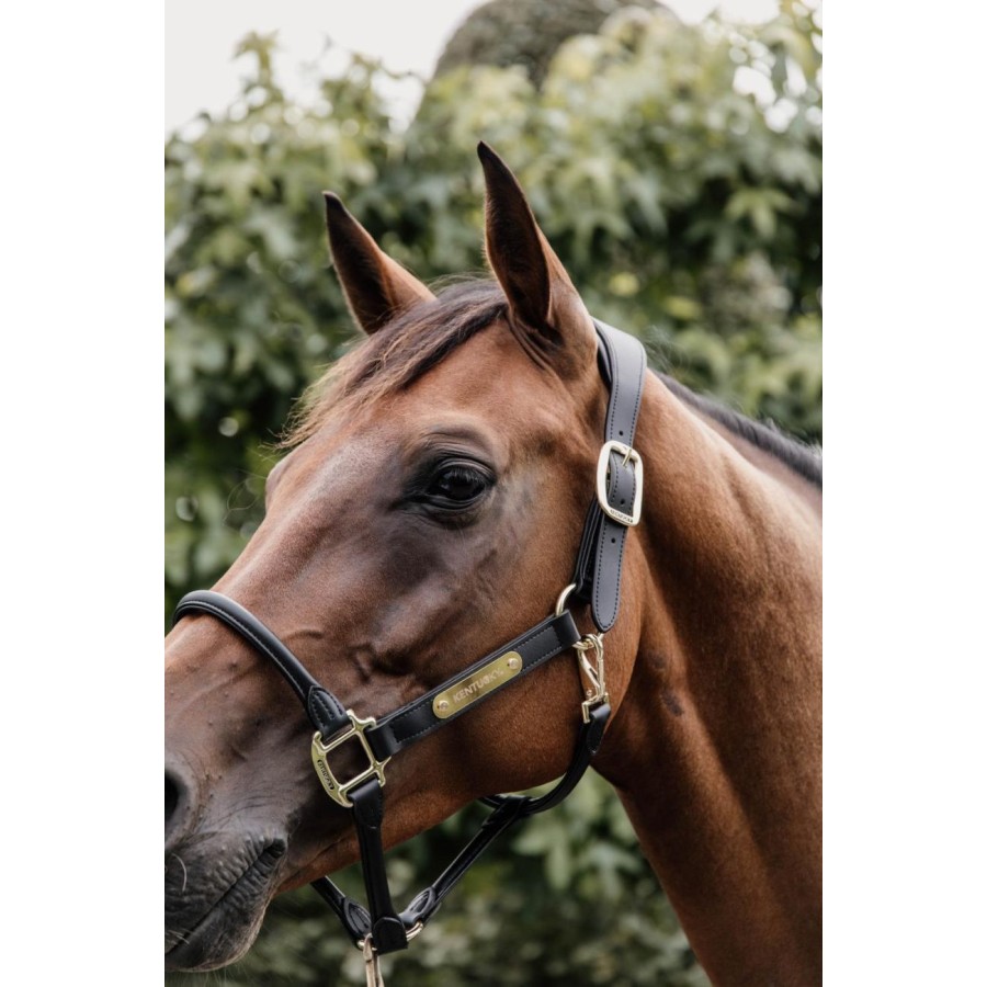 Kentucky Leather Anatomic Halter - Image 2