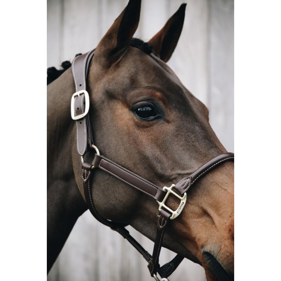 Kentucky Leather Anatomic Halter