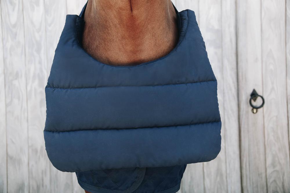 Kentucky Horse Bib Summer - Image 2