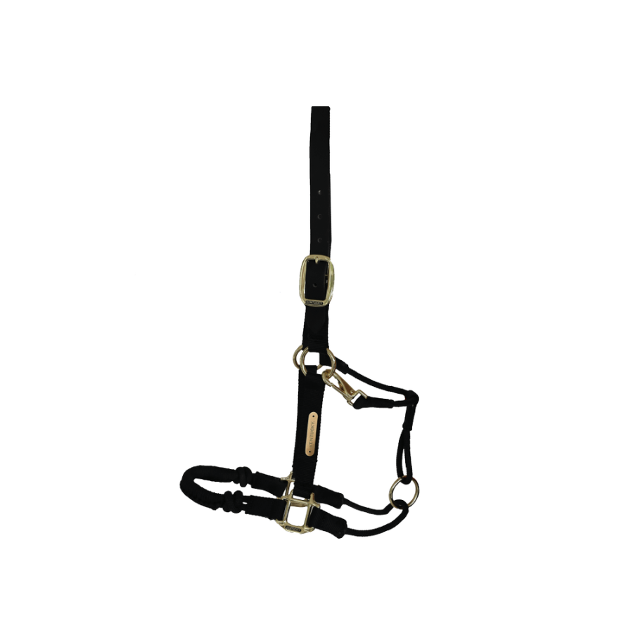 Kentucky Control Nylon Halter - Image 3