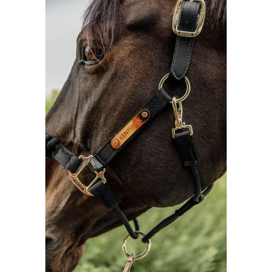 Kentucky Control Nylon Halter - Image 2