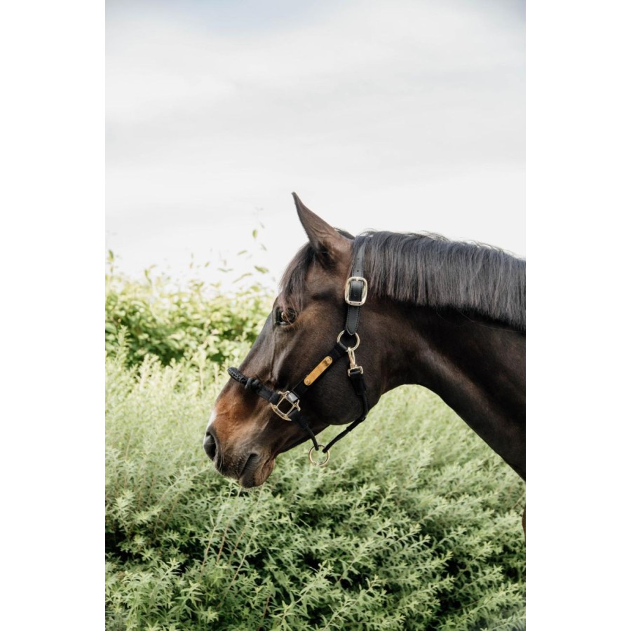 Kentucky Control Nylon Halter