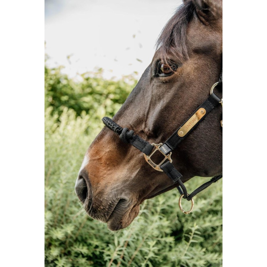 Kentucky Control Nylon Halter - Image 4