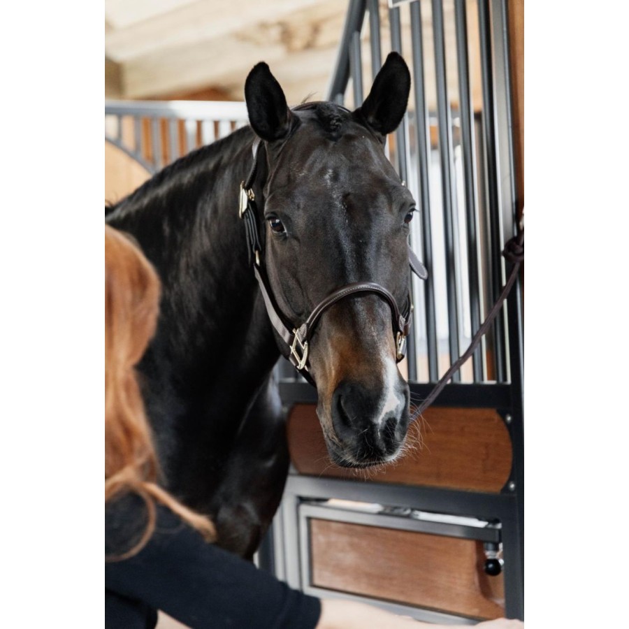 Kentucky Leather Anatomic Halter - Image 3