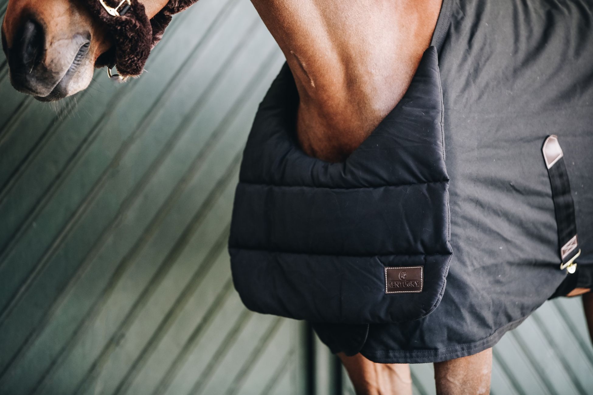 Bavoir D'été Pour Cheval Kentucky Horsewear – Noir, Protection Et Confort