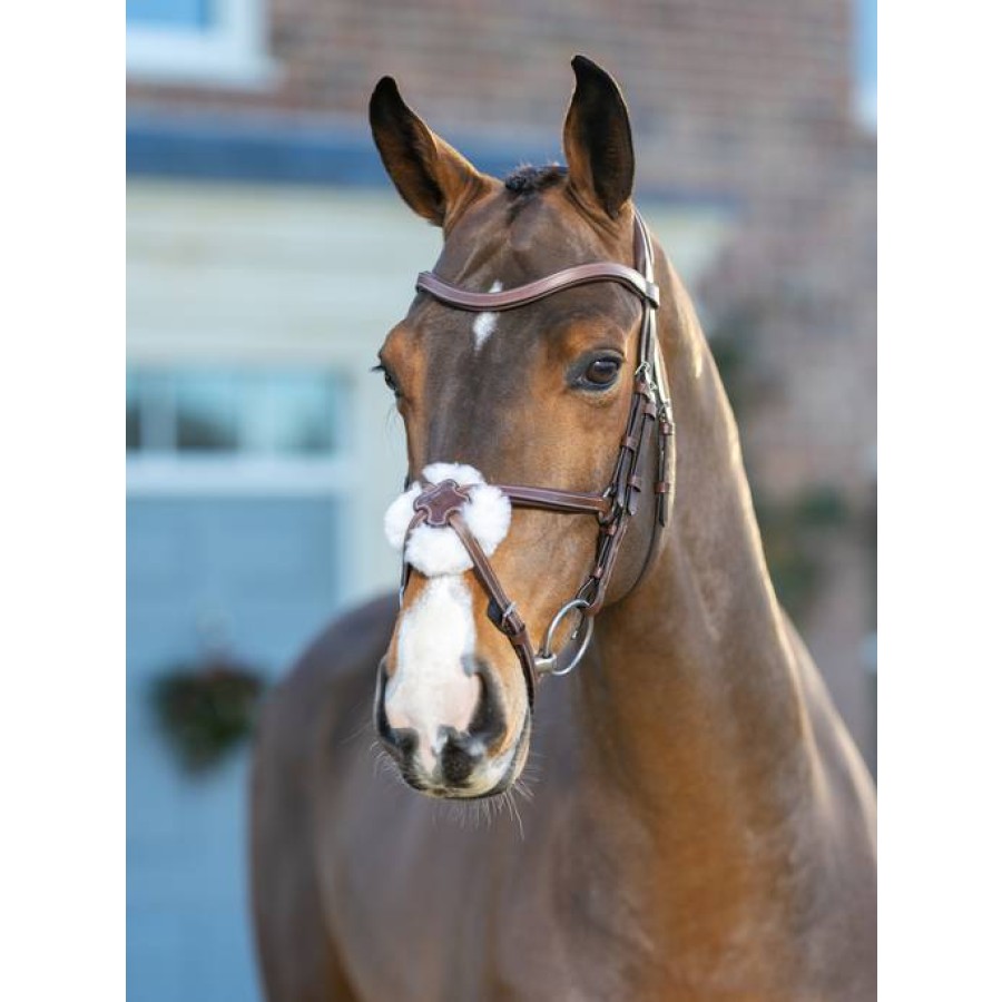 LeMieux Arika Grackle Bridle - Image 2