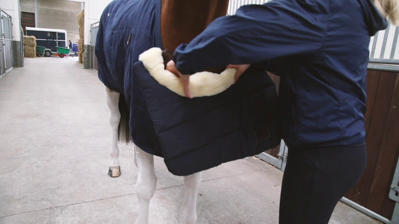 Kentucky Horse Bib Summer - Image 3