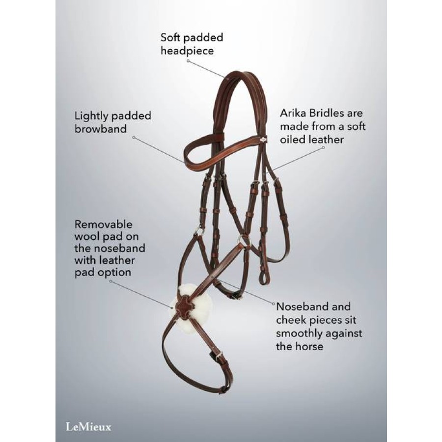 LeMieux Arika Grackle Bridle - Image 4