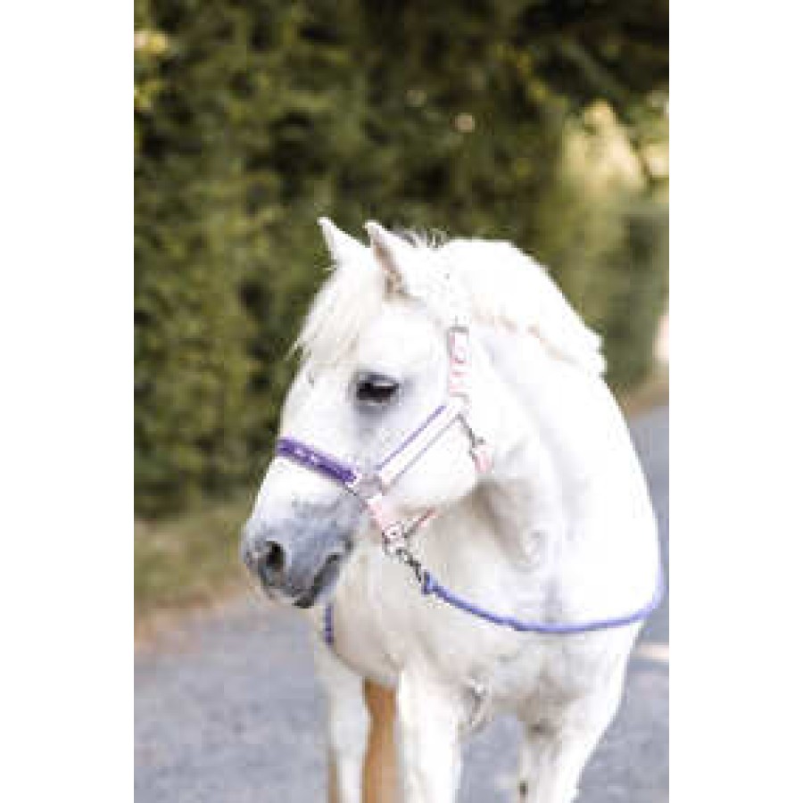 Horze Magic Carousel Pony Halter - Image 5