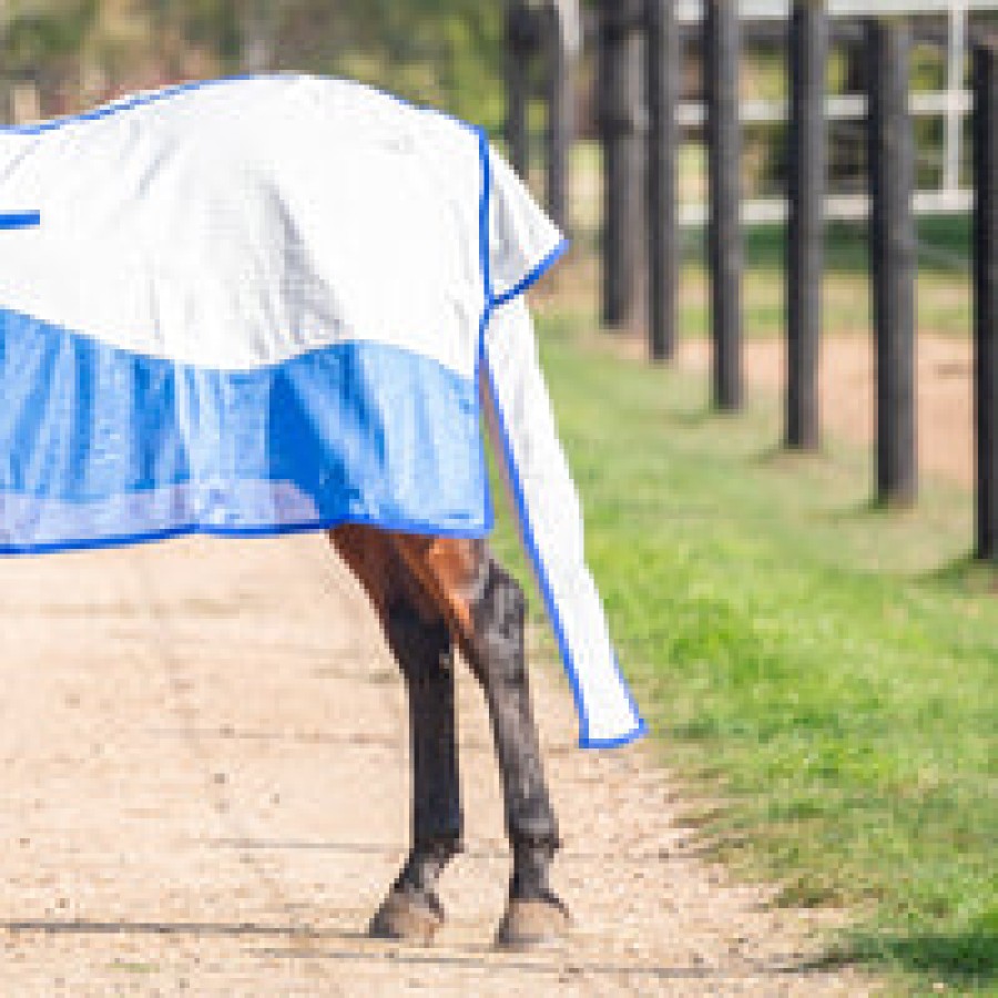 Eurohunter Airflow Tail Bag - Image 2