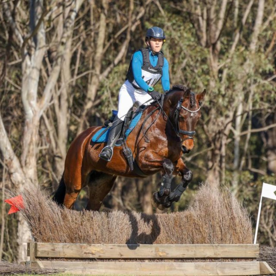 LeMieux Eventing Bib- Black - Image 3