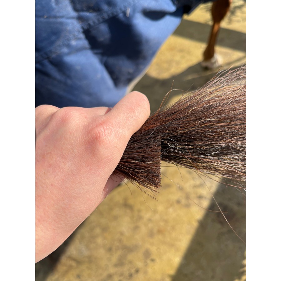 Hairy Pony Horse Tail Trimming Scissors - Image 4