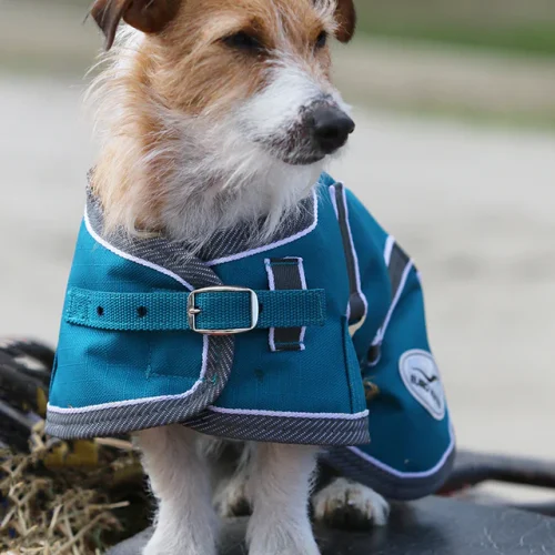 Eurohunter New Thredbo Dog Rug