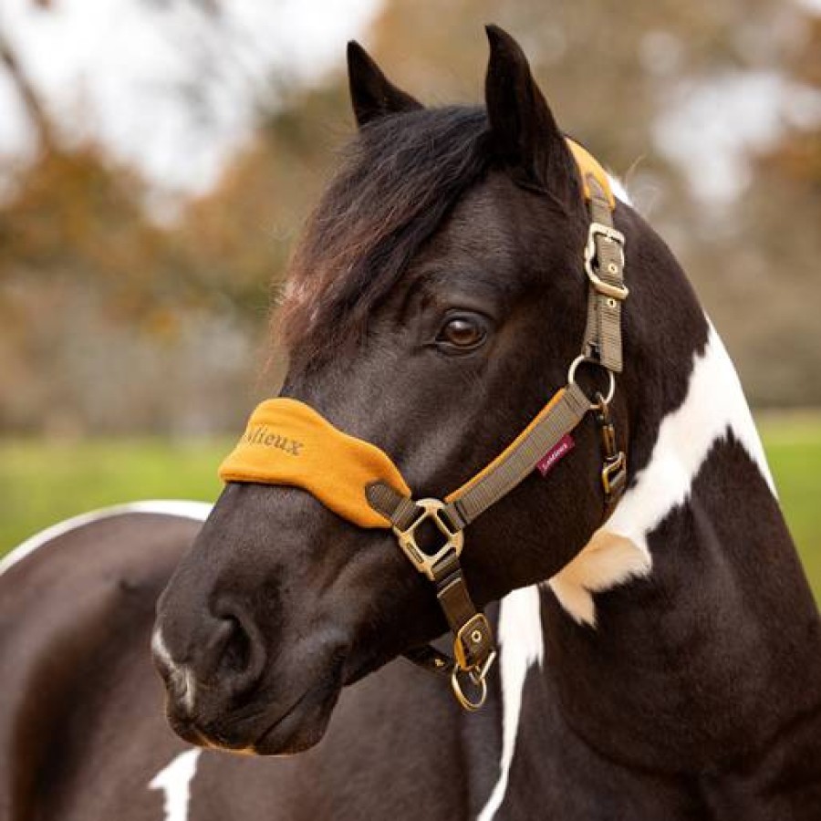 LeMieux Vogue Headcollar & Lead-rope Sets - Image 2