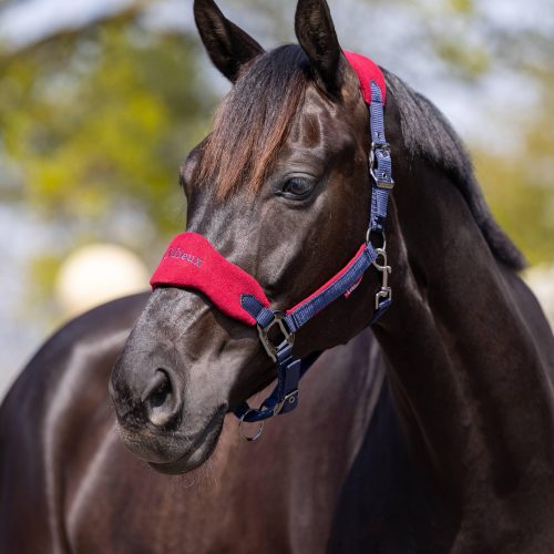 LeMieux Vogue Headcollar & Lead-rope Sets - Image 14
