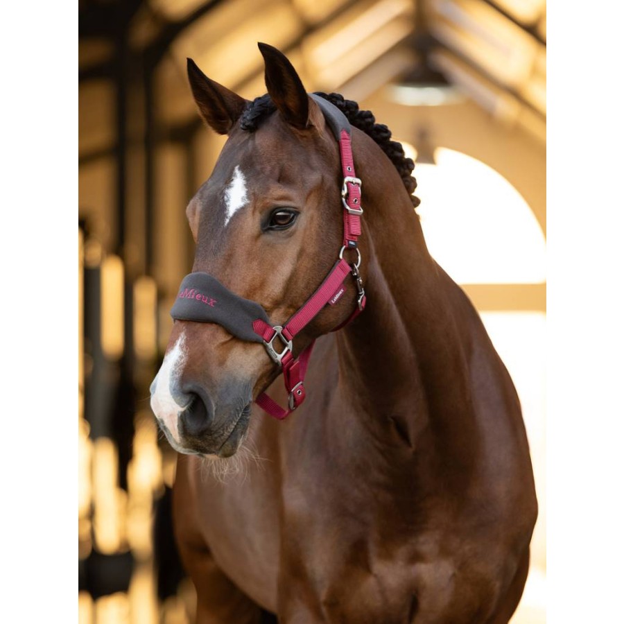 LeMieux Vogue Headcollar & Lead-rope Sets - Image 4