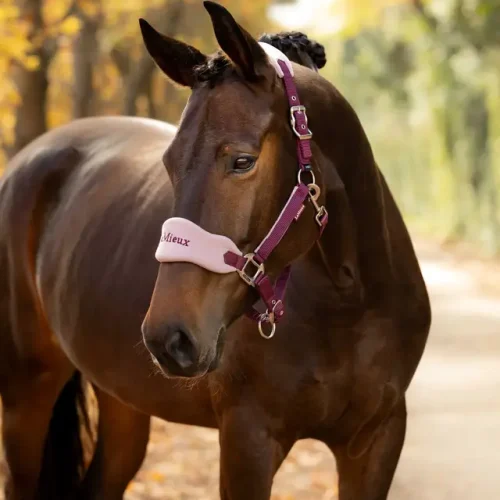 LeMieux Vogue Headcollar & Lead-rope Sets - Image 12