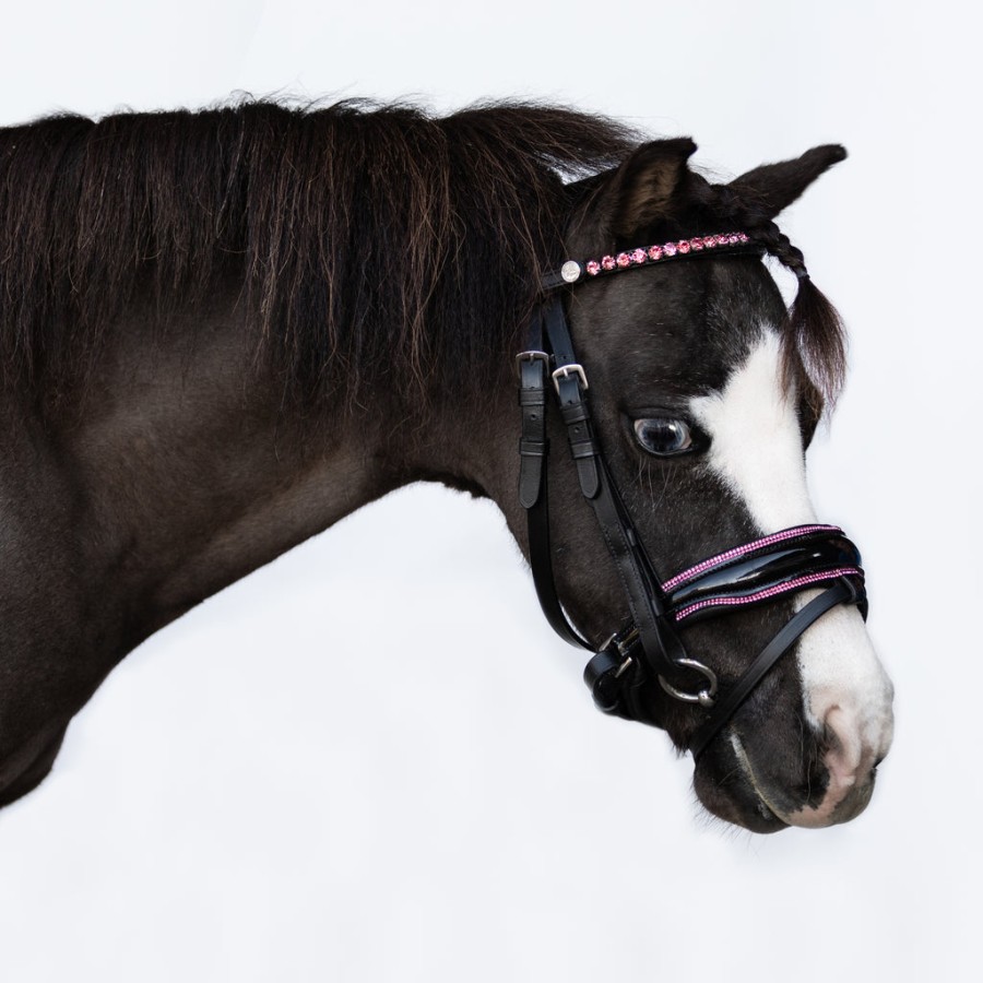 Lumi Pony Fairyfloss Bridle Black - Image 2