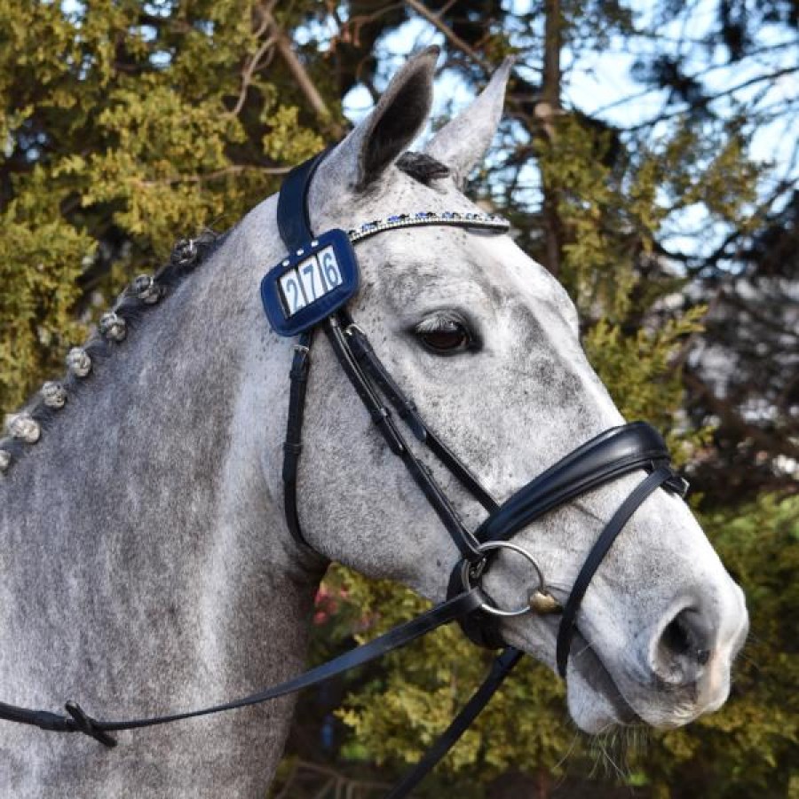 Lumiere Anastasia Convertible Leather Bridle Black - Image 4