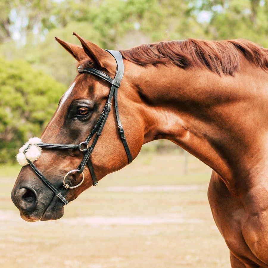 Lumiere Ava Grackle Bridle with Sheepskin Brown