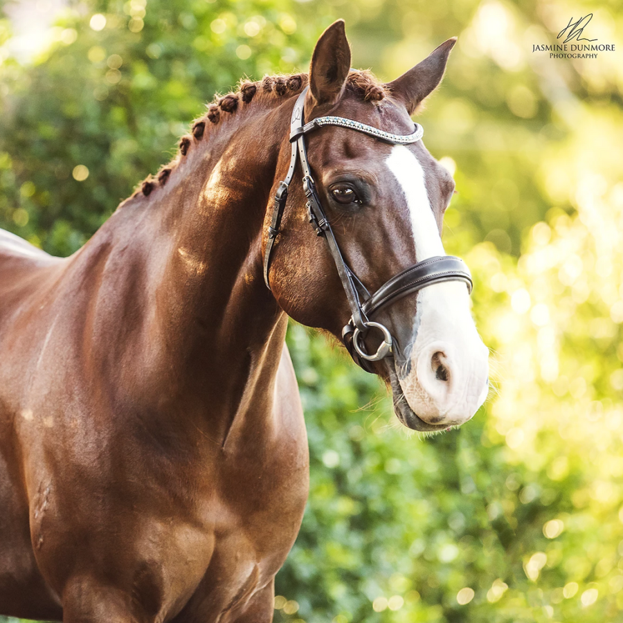 Lumiere Anastasia Convertible Leather Bridle Black - Image 6