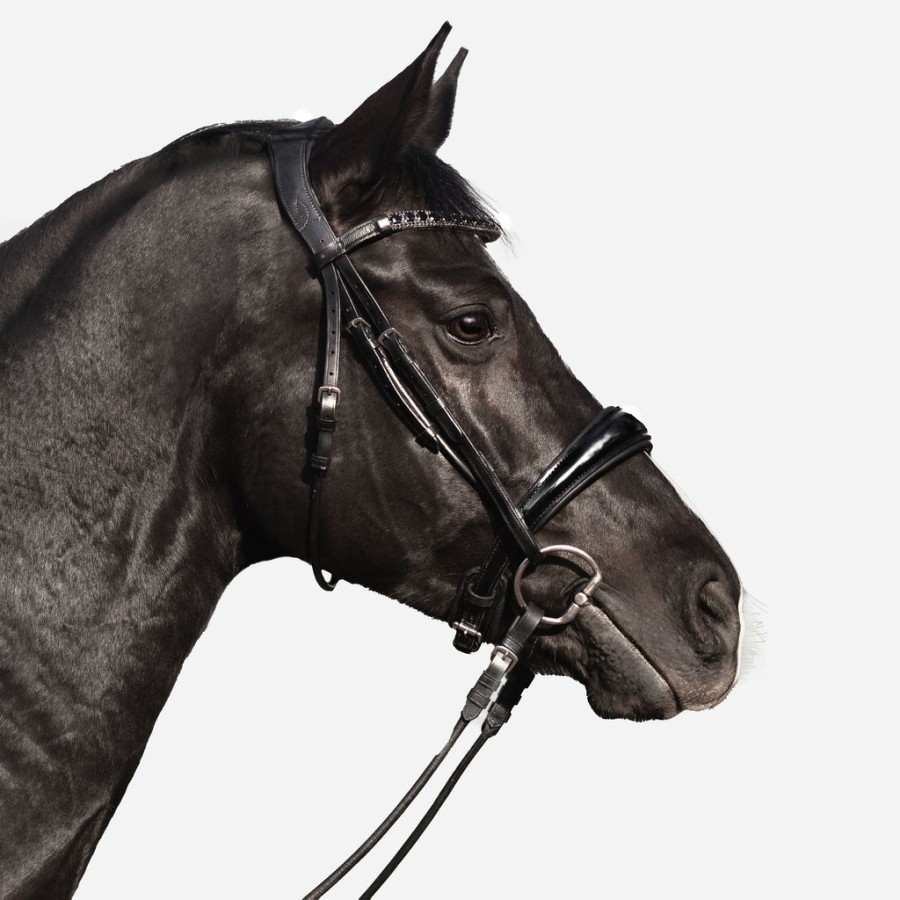 Lumiere Audrey Rolled Leather Bridle Cavesson Black - Image 2