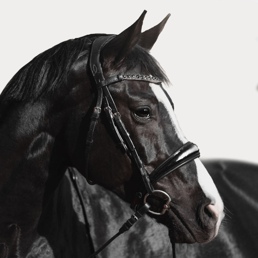 Lumiere Audrey Rolled Leather Bridle Cavesson Black