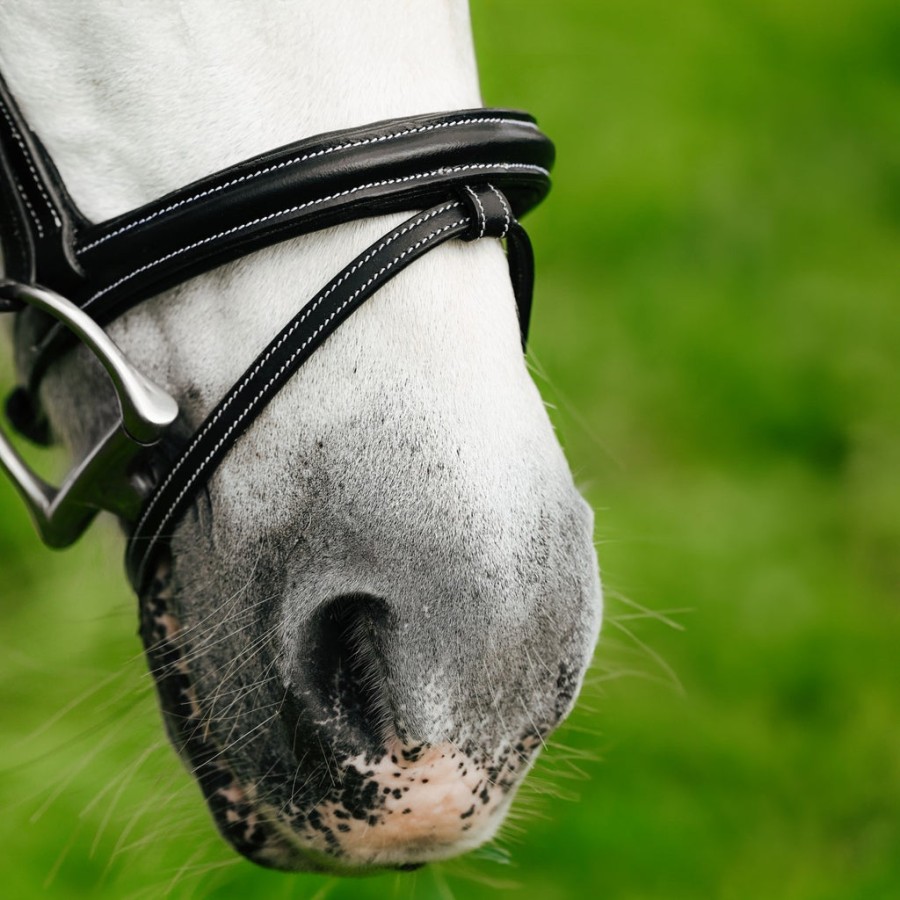 Lumi Pony Rainbow Convertible Bridle Black - Image 7