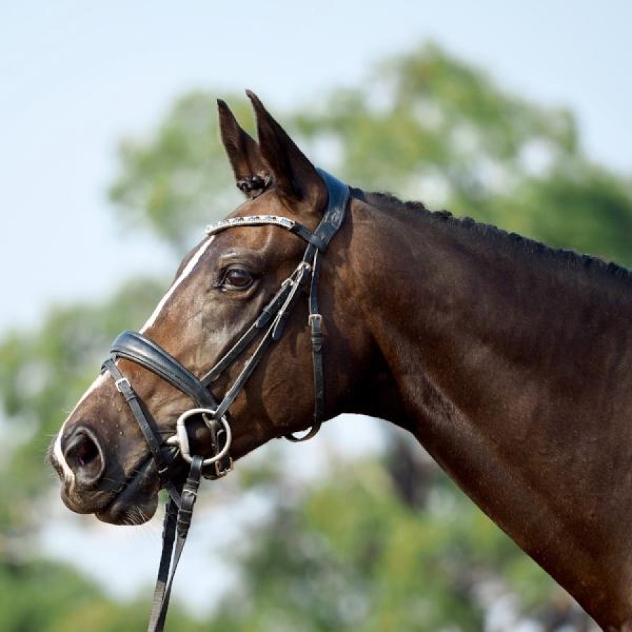 Lumiere Anastasia Convertible Leather Bridle Black - Image 3
