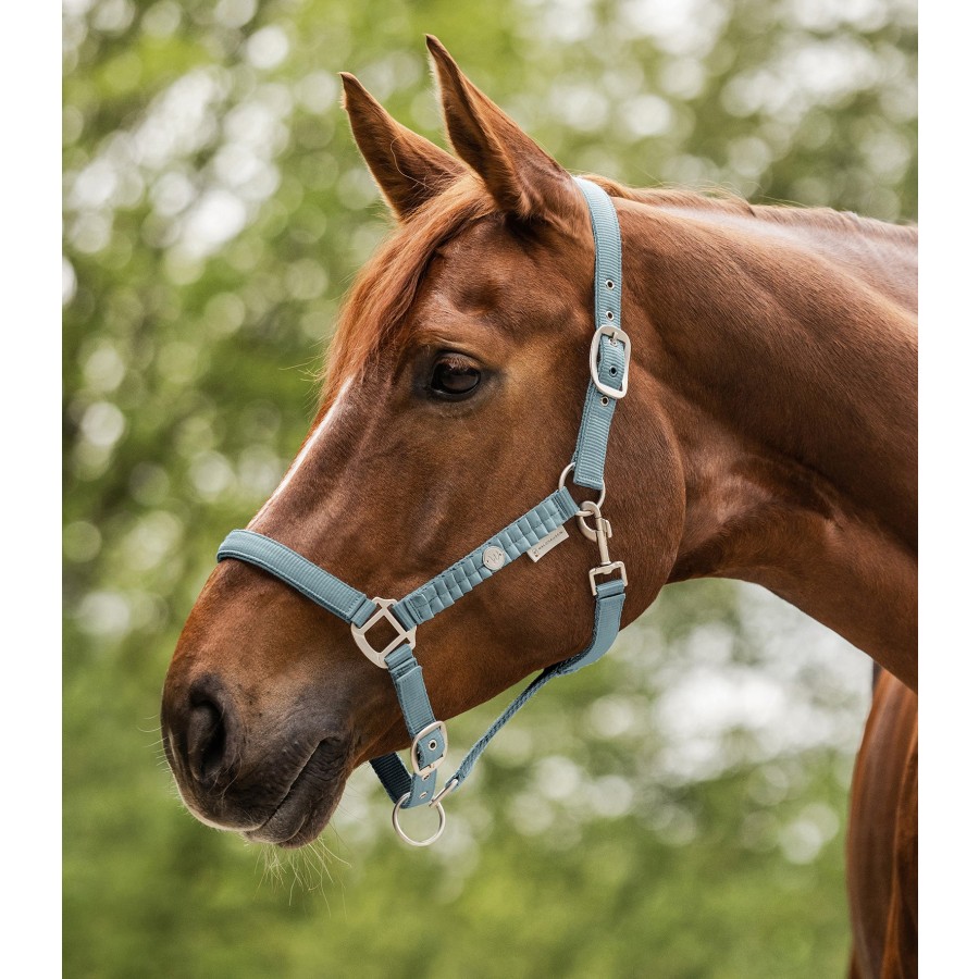 Waldhausen Halter Florence - Image 3