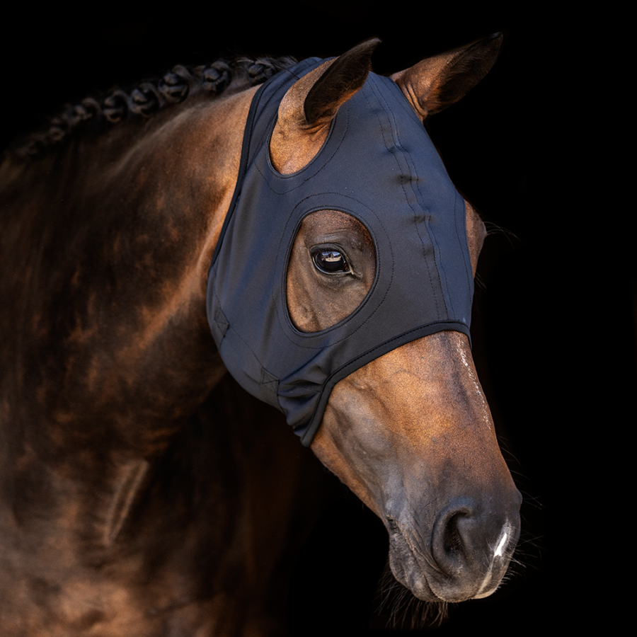Titanium Hood - No Ears - Image 2