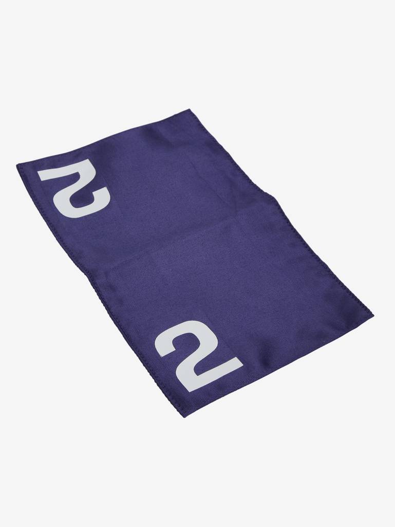 LeMieux Toy Pony Racing Cloth and Hood Chilli - Image 3