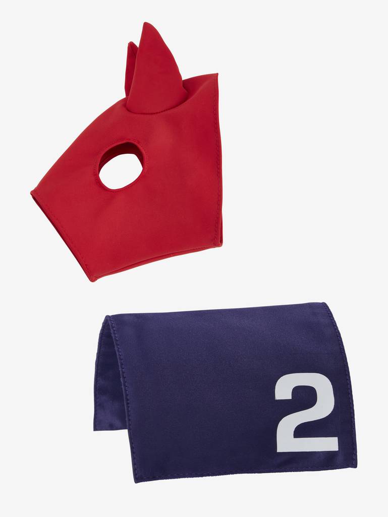 LeMieux Toy Pony Racing Cloth and Hood Chilli