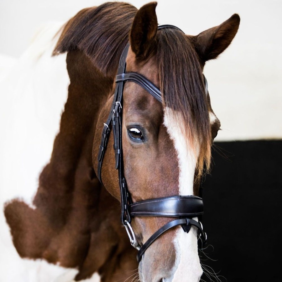 Lumiere Mikayla Convertible Leather Bridle - Image 5