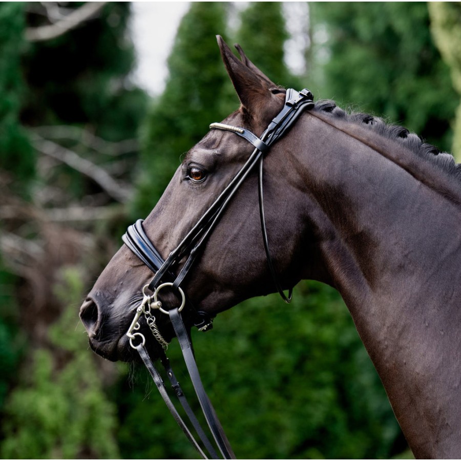 Lumiere Magnifique Rolled Double Bridle - Image 2