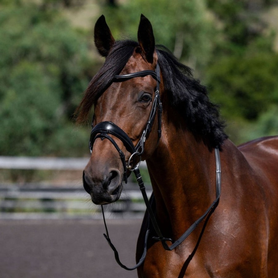 Lumiere Mikayla Convertible Leather Bridle - Image 4