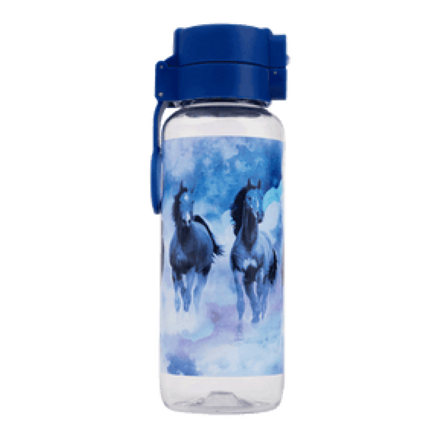 Spencil Water Bottle 650ml Sky Dancer
