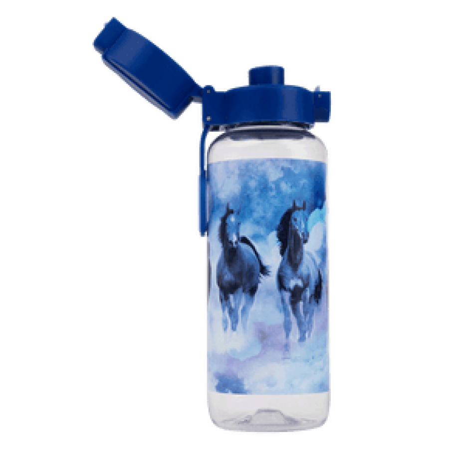 Spencil Water Bottle 650ml Sky Dancer - Image 2