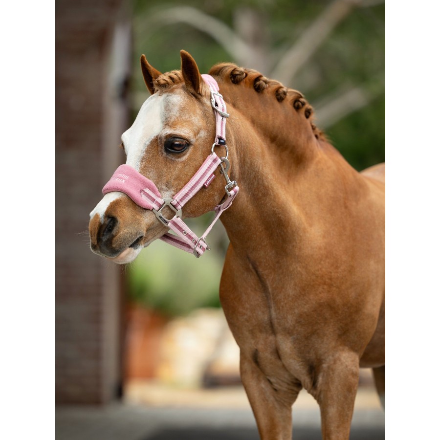 LeMieux Mini Vogue Headcollar & Leadrope