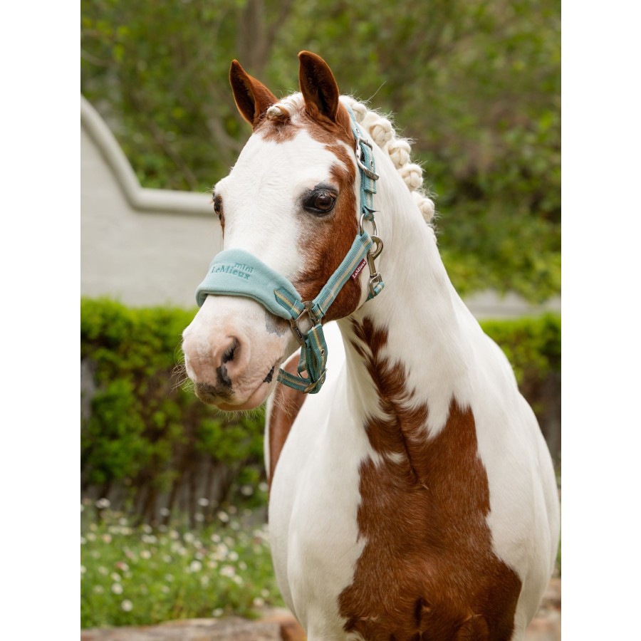 LeMieux Mini Vogue Headcollar & Leadrope - Image 2