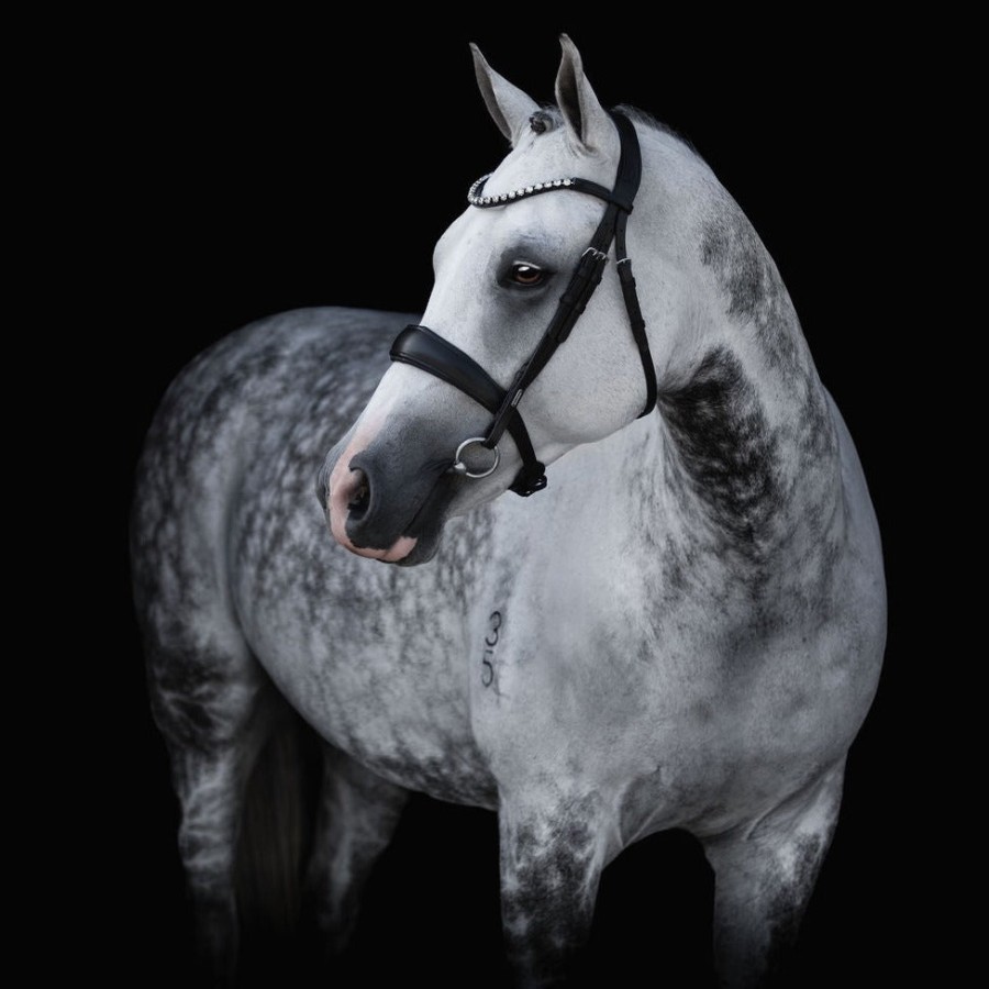 Lumiere Abigail Convertible Bridle Black - Image 2