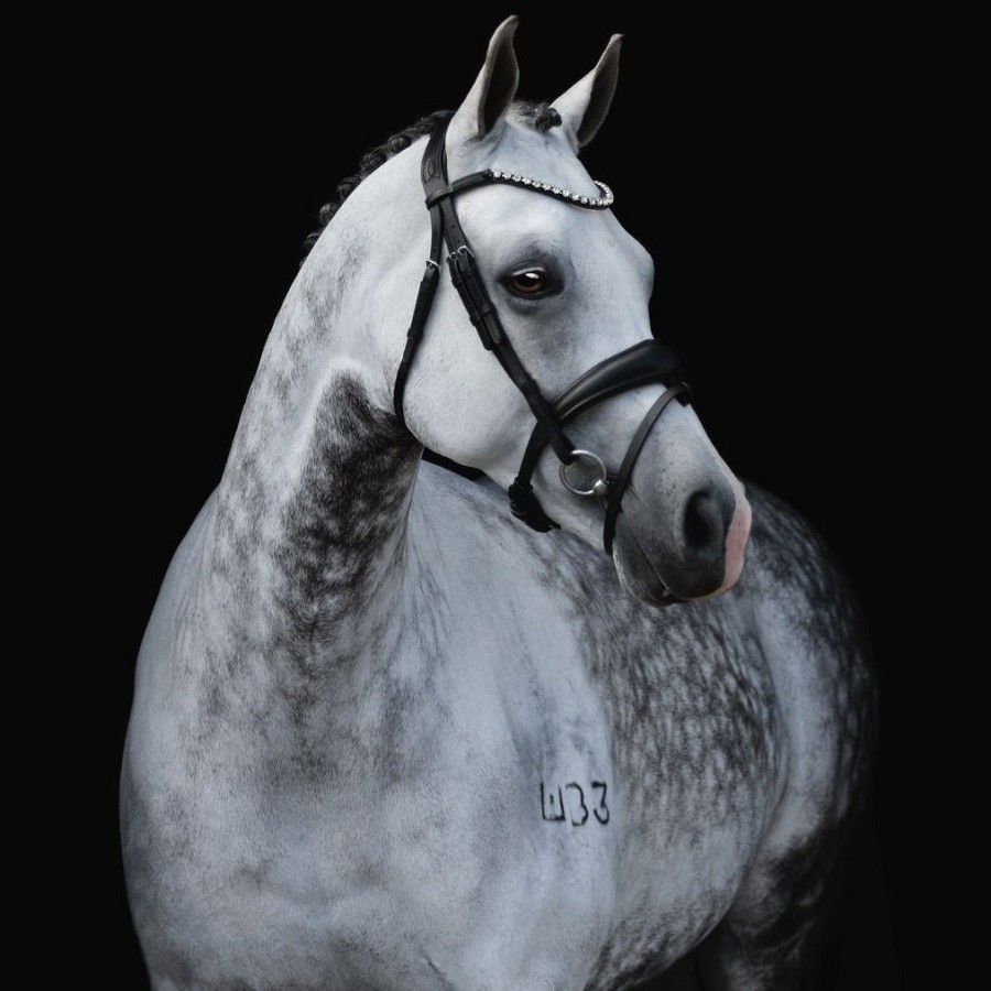 Lumiere Abigail Convertible Bridle Black - Image 4