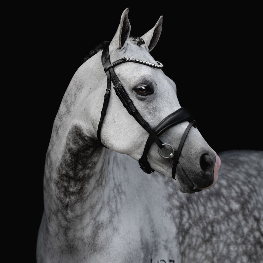 Lumiere Abigail Convertible Bridle Black - Image 3