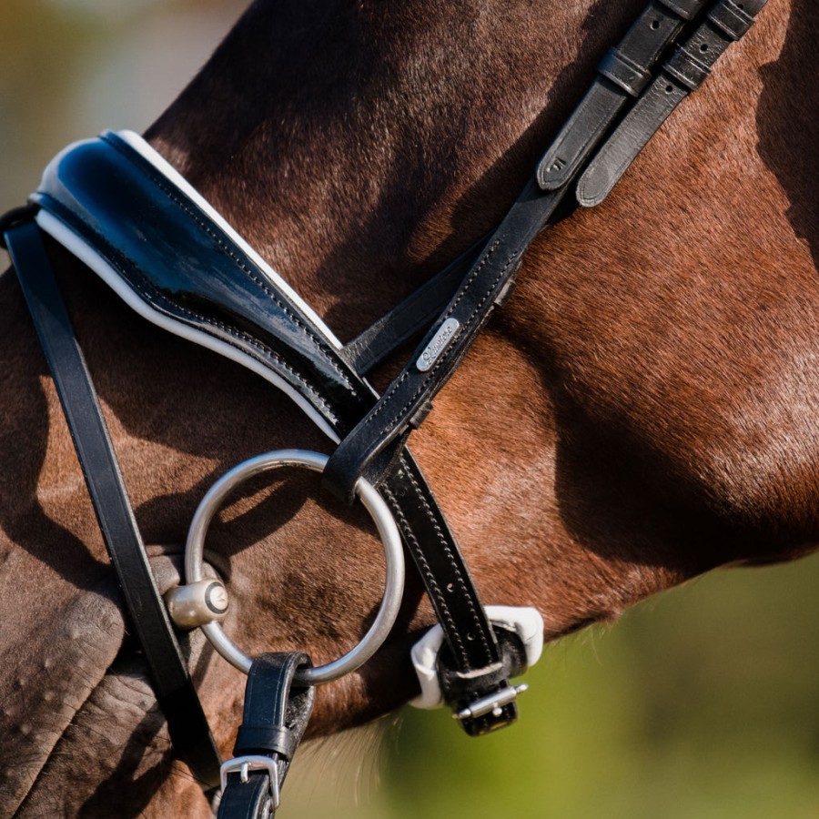 Lumiere Adeline Bridle- Hanoverian - Image 3