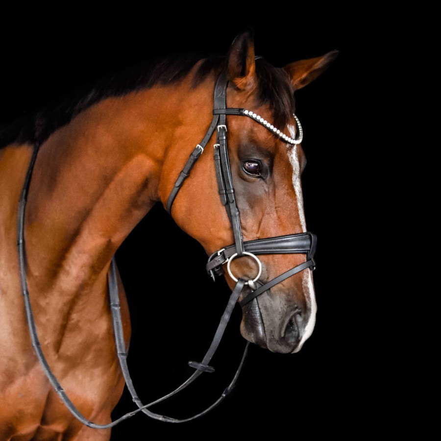 Lumiere Abigail Convertible Bridle Black - Image 6
