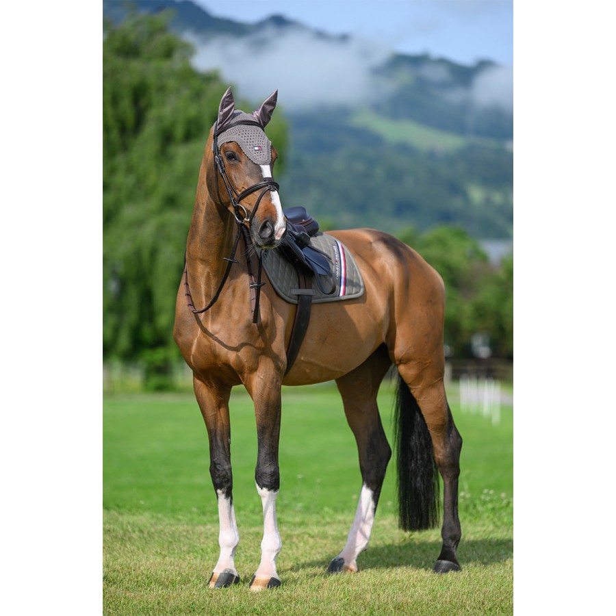 Tommy Hilfiger Stanford Jumping Saddle Pad Cob - Image 5